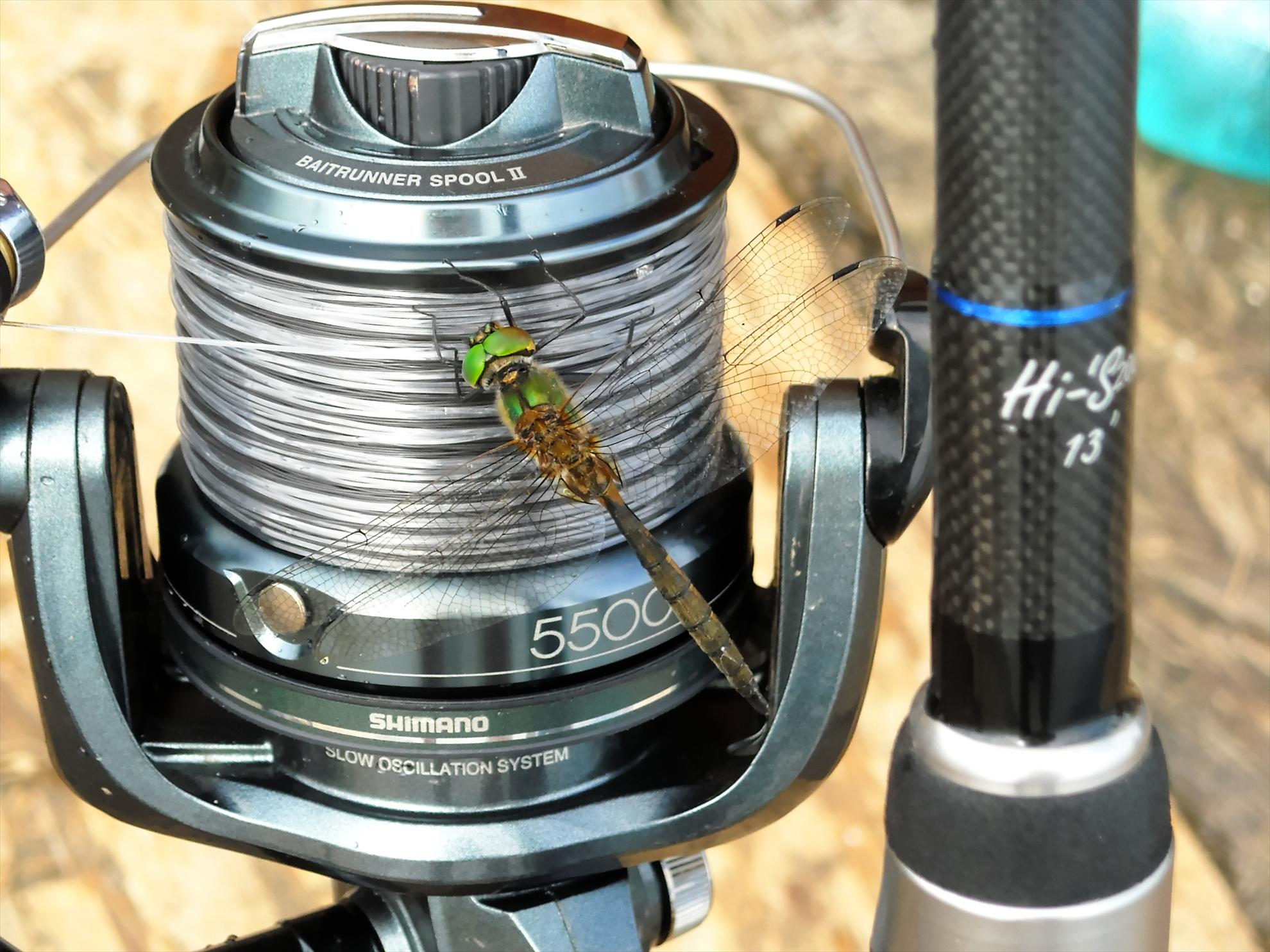 Best-2010 - dscn5951compressor.jpg